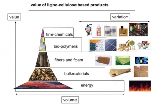 Waardepyramide met de relatie tussen biopolymeren en bio-based dragermaterialen