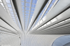 Station Luik - ontwerp Santiago Calatrava (© AGC) 